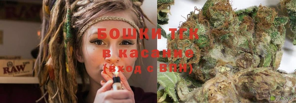 apvp Горнозаводск