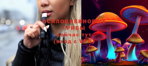apvp Горнозаводск