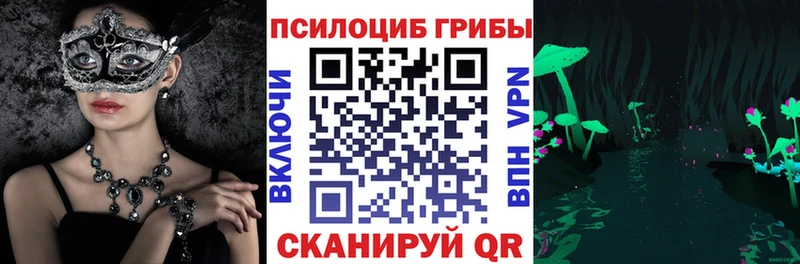 продажа наркотиков  сайты даркнета какой сайт  Галлюциногенные грибы MAGIC MUSHROOMS  Мценск 